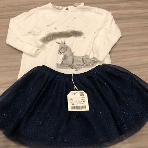 Zara baby girl tulle skirt and top (2 pk)